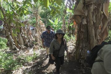 Berjalan di antara kebun pisang Pulau Tiga untuk mengunjungi PLTS di desa Nusa Ela
